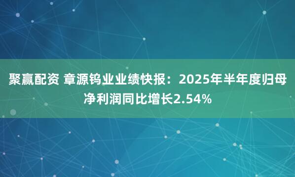 聚赢配资 章源钨业业绩快报：2025年半年度归母净利润同比增长2.54%